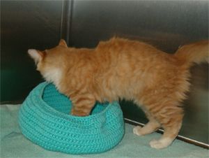 Crochet Snuggle Tubbie