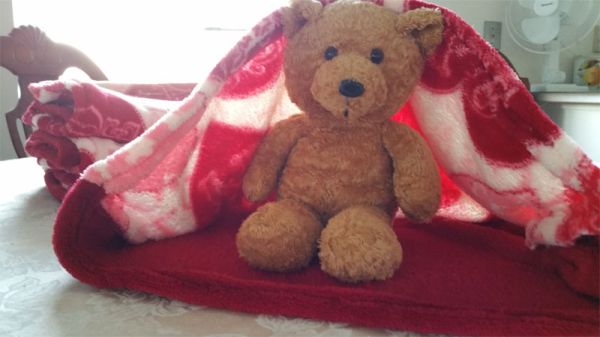 Snuggles Love Pockets