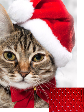 A Little Elegance for Christmas