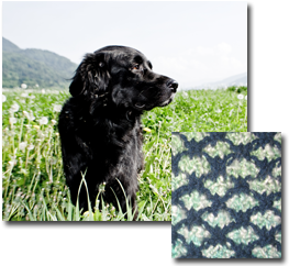 Oscar's Journey Snuggle